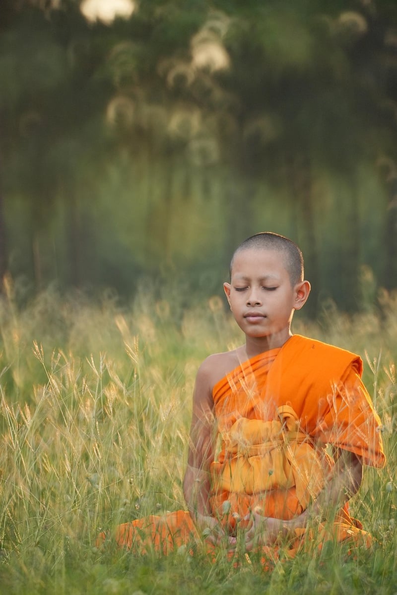 Yoga Meditation Trees Woman